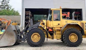 Volvo L110E full